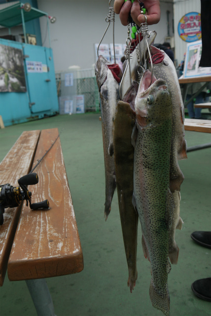 としまえんフィッシングエリア 釣果