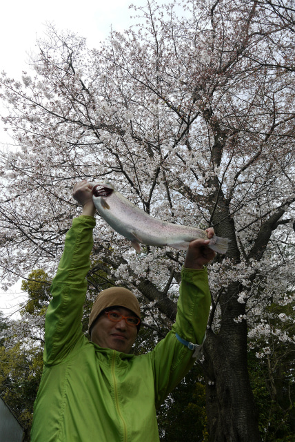 としまえんフィッシングエリア 釣果