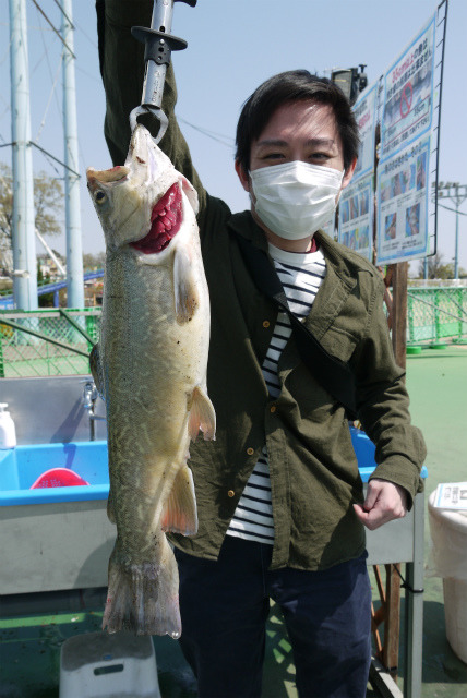 としまえんフィッシングエリア 釣果