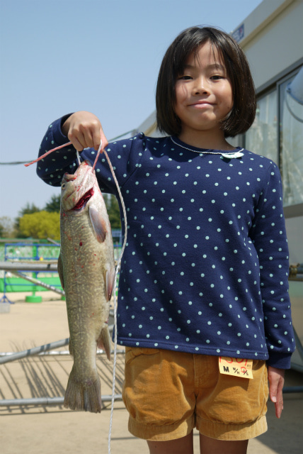 としまえんフィッシングエリア 釣果