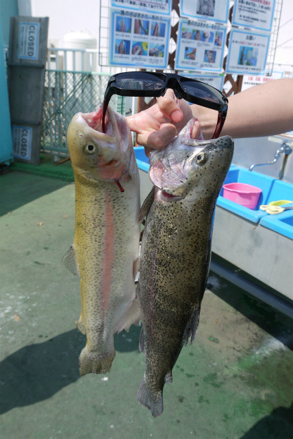 としまえんフィッシングエリア 釣果