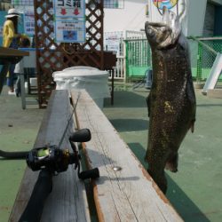 としまえんフィッシングエリア 釣果