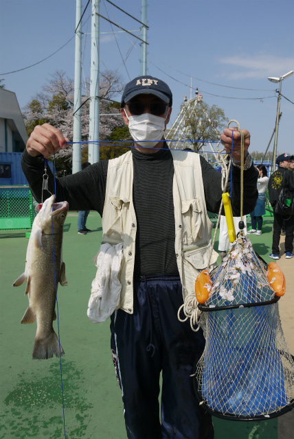 としまえんフィッシングエリア 釣果