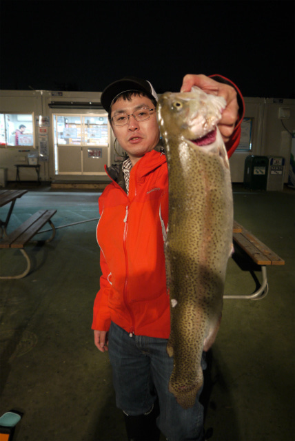 としまえんフィッシングエリア 釣果