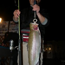 としまえんフィッシングエリア 釣果