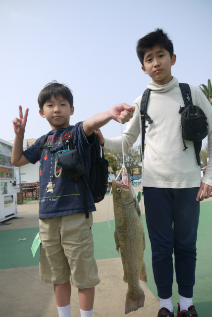 としまえんフィッシングエリア 釣果