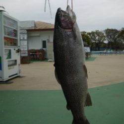としまえんフィッシングエリア 釣果