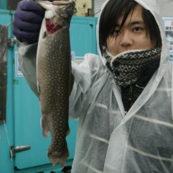 としまえんフィッシングエリア 釣果