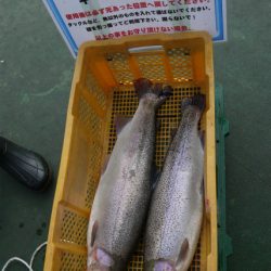 としまえんフィッシングエリア 釣果