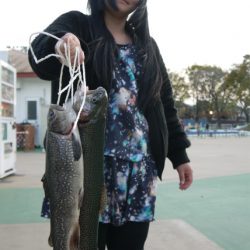 としまえんフィッシングエリア 釣果