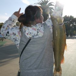 としまえんフィッシングエリア 釣果