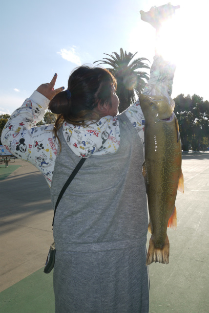 としまえんフィッシングエリア 釣果