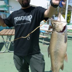 としまえんフィッシングエリア 釣果