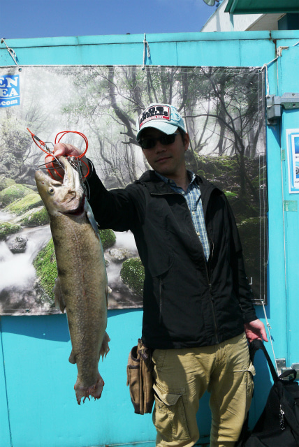 としまえんフィッシングエリア 釣果