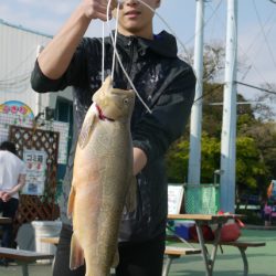 としまえんフィッシングエリア 釣果