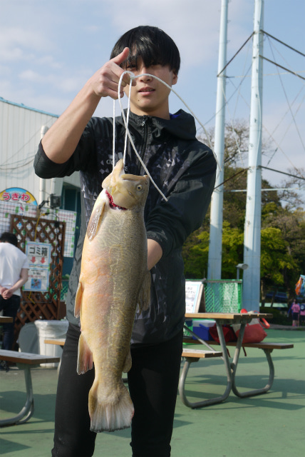 としまえんフィッシングエリア 釣果