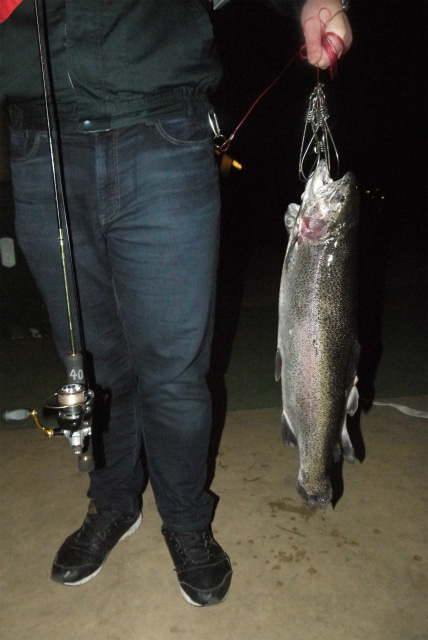 としまえんフィッシングエリア 釣果