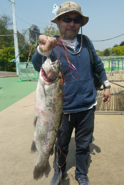 としまえんフィッシングエリア 釣果