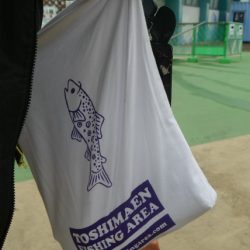 としまえんフィッシングエリア 釣果