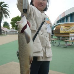 としまえんフィッシングエリア 釣果