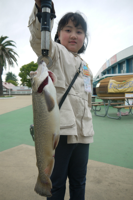 としまえんフィッシングエリア 釣果