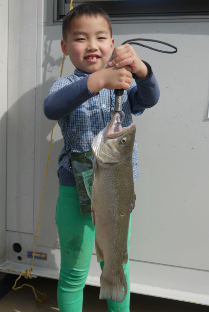 としまえんフィッシングエリア 釣果