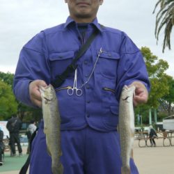 としまえんフィッシングエリア 釣果