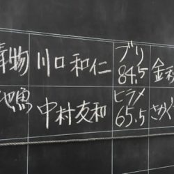 渡船屋たにぐち 釣果