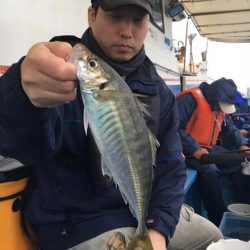 ヤザワ渡船 釣果