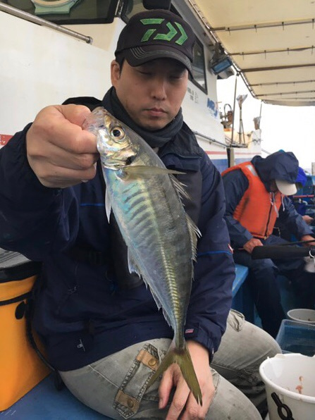 ヤザワ渡船 釣果