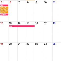 「LaGooN」蒼陽丸 日和号 釣果