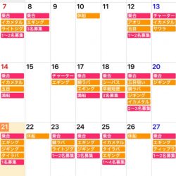 「LaGooN」蒼陽丸 日和号 釣果