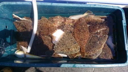 小樽港遊漁船SHAKE 釣果