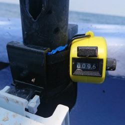 小樽港遊漁船SHAKE 釣果