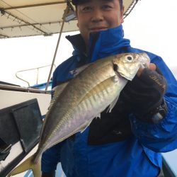 ヤザワ渡船 釣果