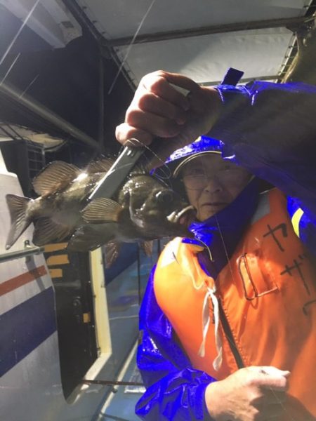 ヤザワ渡船 釣果