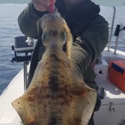 ソルトウォーターガイドフレンズ 釣果