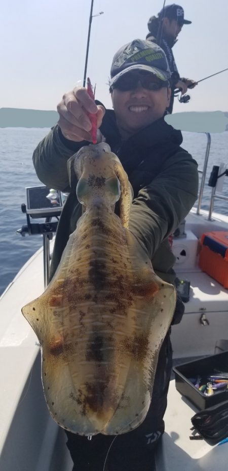 ソルトウォーターガイドフレンズ 釣果