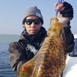 ソルトウォーターガイドフレンズ 釣果