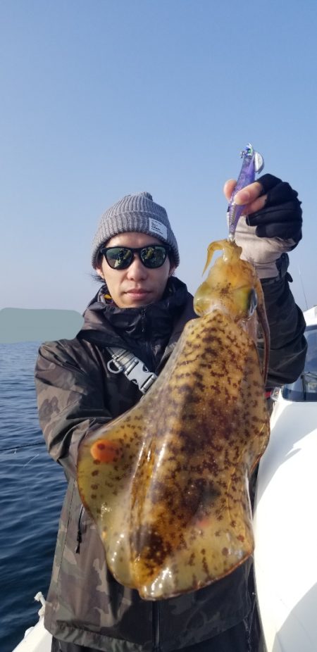 ソルトウォーターガイドフレンズ 釣果