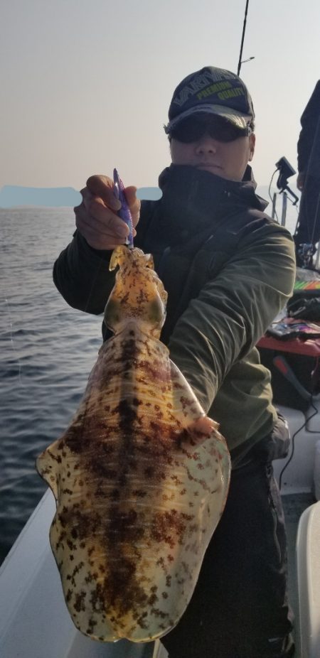 ソルトウォーターガイドフレンズ 釣果