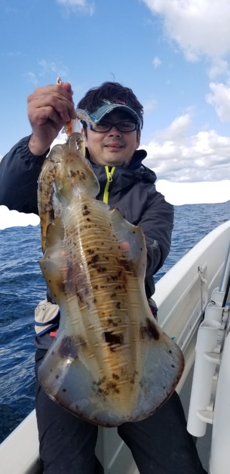 ソルトウォーターガイドフレンズ 釣果