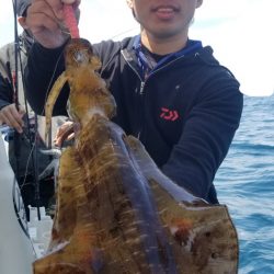 ソルトウォーターガイドフレンズ 釣果