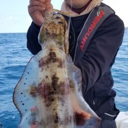 ソルトウォーターガイドフレンズ 釣果