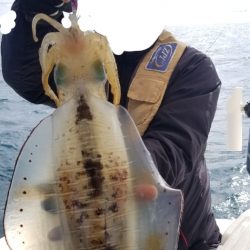 ソルトウォーターガイドフレンズ 釣果