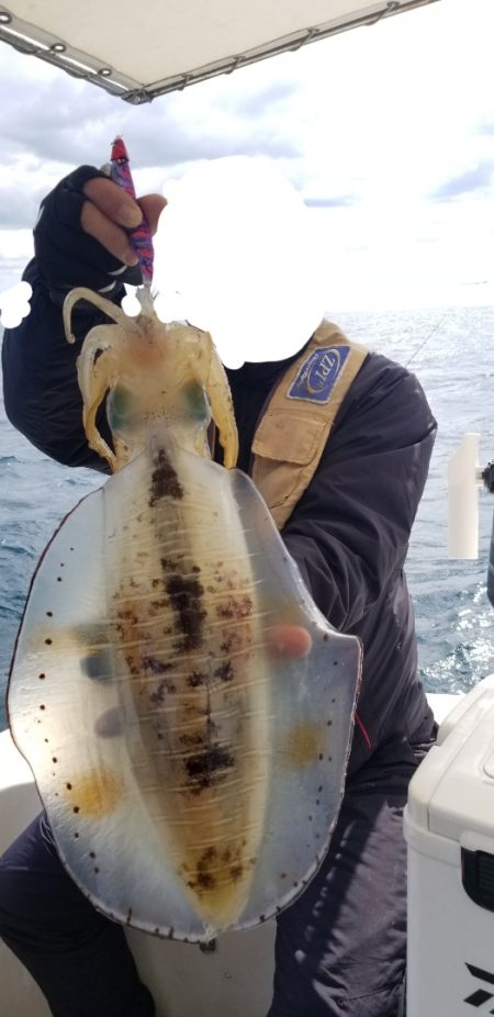 ソルトウォーターガイドフレンズ 釣果