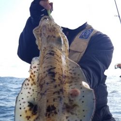 ソルトウォーターガイドフレンズ 釣果