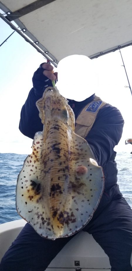 ソルトウォーターガイドフレンズ 釣果