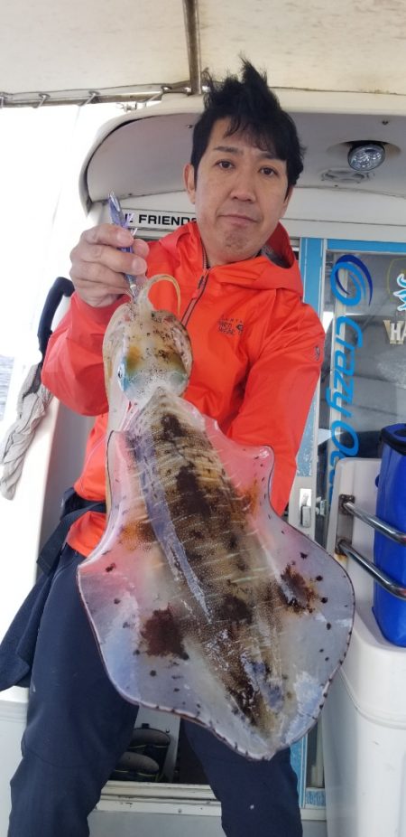 ソルトウォーターガイドフレンズ 釣果