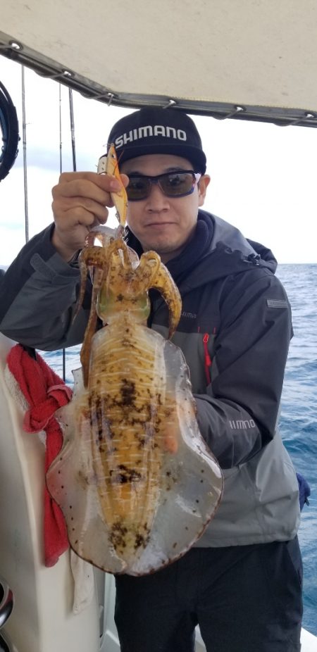 ソルトウォーターガイドフレンズ 釣果